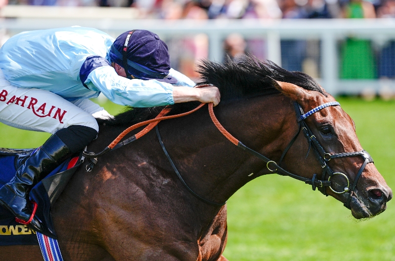 ascot