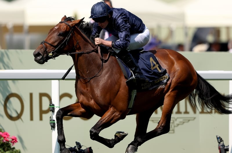 ascot