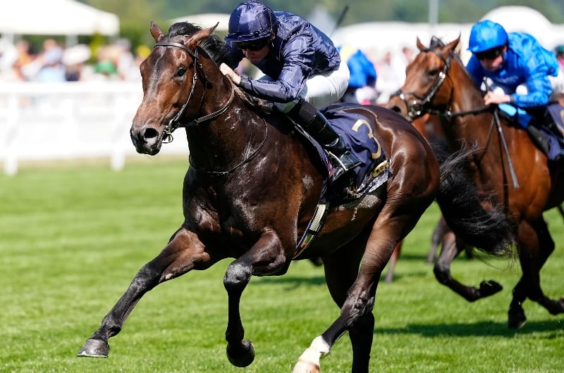 ascot