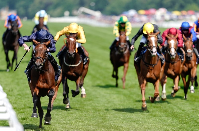 ascot