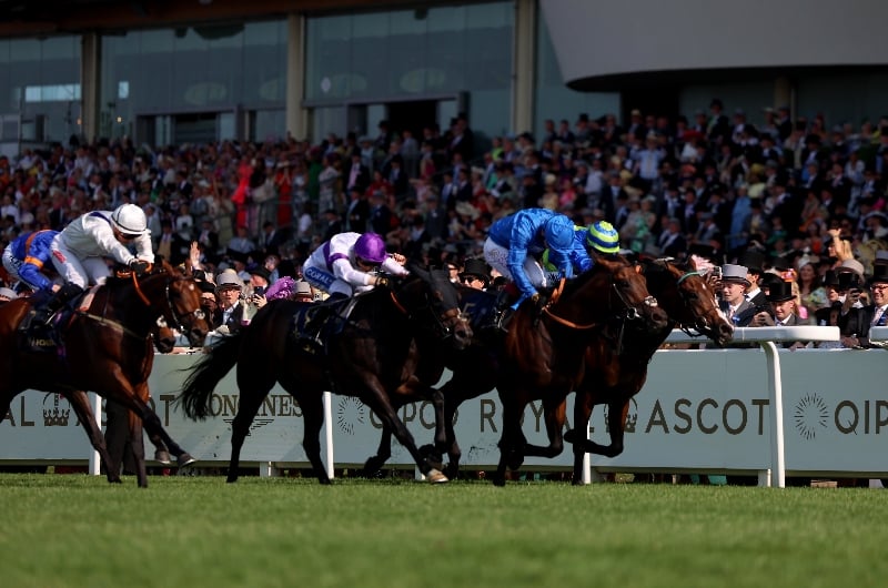 ascot