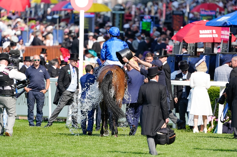 ascot