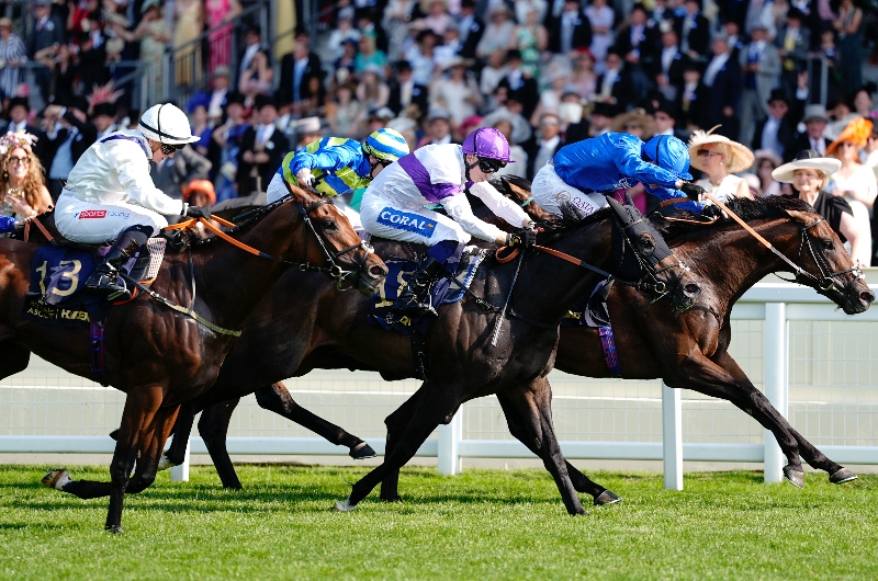 ascot