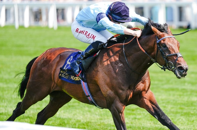 ascot