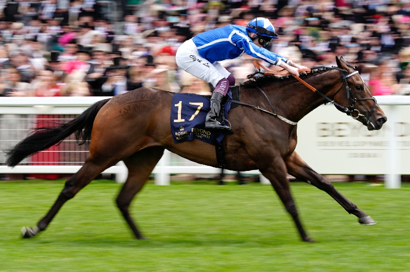 ascot
