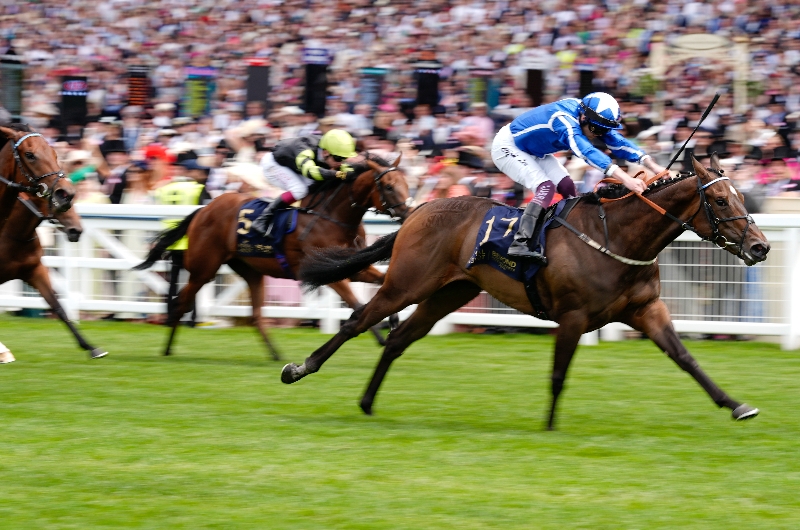 ascot