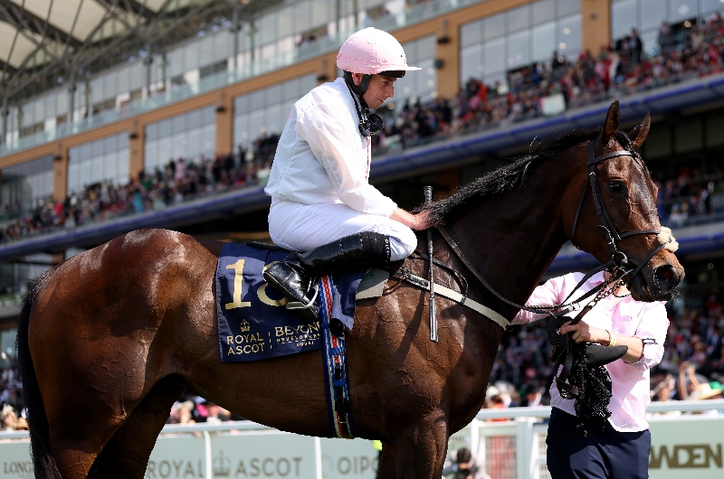 ascot