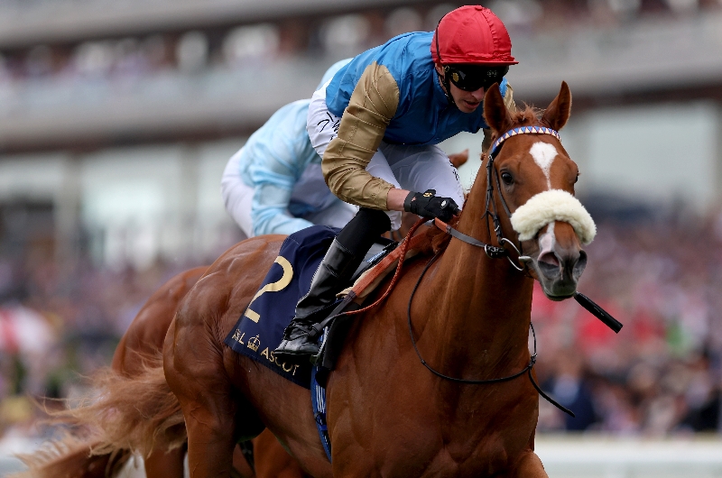 Chesham Stakes. (Getty)