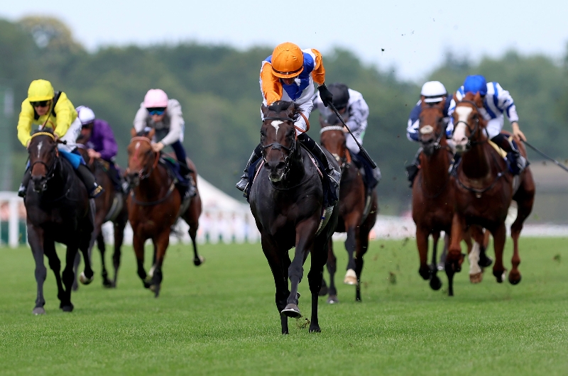 ascot
