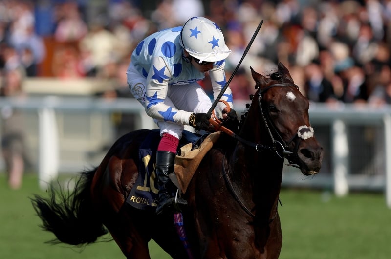 ascot