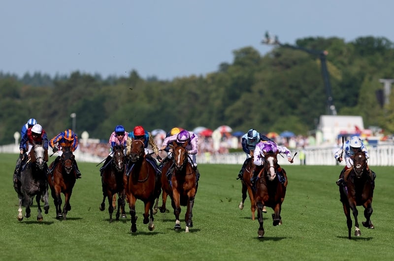 ascot