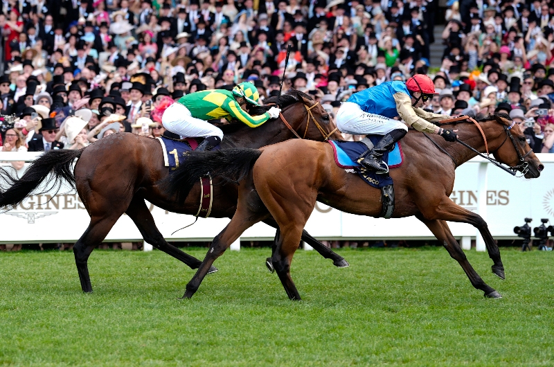 ascot