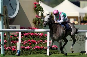 "It was a complete performance" - Sussex Stakes or France next for Field Of Gold