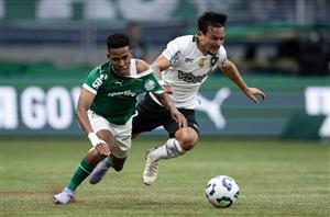 Palmeiras vs Botafogo
