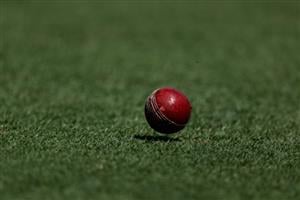 Watch cricket online (Getty Images)
