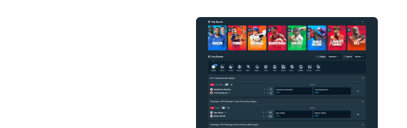 Stake Sportsbook