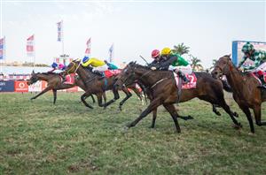 durban july greyville