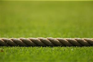 Watch cricket online (Getty Images)