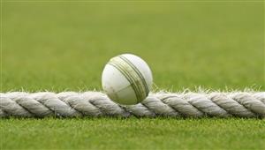 Watch cricket online (Getty Images)