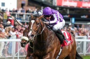 2025 Goodwood Cup Odds - Illinois odds-on to beat French Master