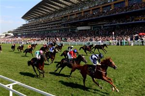 never let go ascot