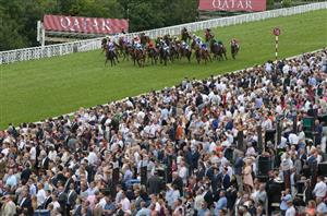 stewards cup goodwood