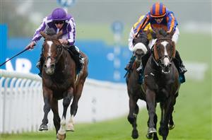 When is the 2026 Goodwood Cup?