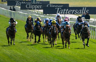 2025 Ebor Handicap Tips - 16/1 ante-post selection for York