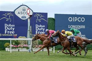Shergar Cup 2025 - Debutantes take centre-stage at Ascot