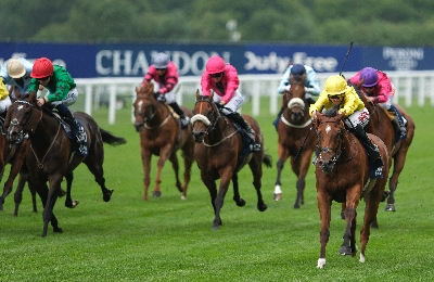 2025 Shergar Cup Betting Odds - Europe favourites to win team comp at Ascot