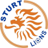 https://www.imageservera.com/cdn-cgi/image/format=webp/uploadedimages/202508/Aug13/23xmvkhoe70qg8n.png