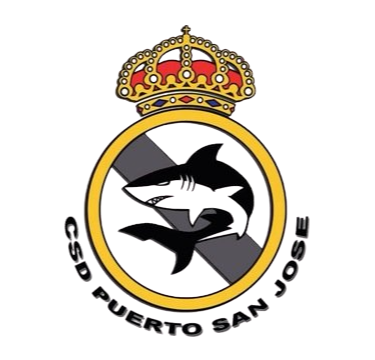 https://www.imageservera.com/cdn-cgi/image/format=webp/uploadedimages/202508/Aug13/3glrw7hyzp3qdyj.png