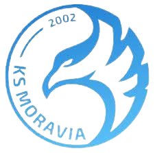 https://www.imageservera.com/cdn-cgi/image/format=webp/uploadedimages/202508/Aug13/8yomo4h0j47q0j6.png