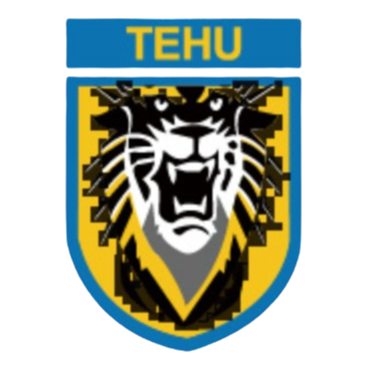 Nanjing Tehu Football Club