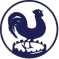 https://www.imageservera.com/cdn-cgi/image/format=webp/uploadedimages/202508/Aug13/dn1m1ghegngmoep.png