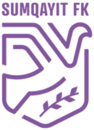 https://www.imageservera.com/cdn-cgi/image/format=webp/uploadedimages/202508/Aug13/gpxwrxlhk33ryk0.png
