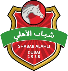 https://www.imageservera.com/cdn-cgi/image/format=webp/uploadedimages/202508/Aug13/jw2r09h1j3wrz84.png