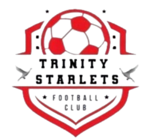 https://www.imageservera.com/cdn-cgi/image/format=webp/uploadedimages/202508/Aug13/l7oqdeh1114r510.png