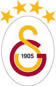 https://www.imageservera.com/cdn-cgi/image/format=webp/uploadedimages/202508/Aug13/l7oqdehlyyer510.png