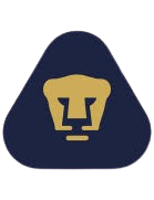 https://www.imageservera.com/cdn-cgi/image/format=webp/uploadedimages/202508/Aug13/pxwrxlhvjnxryk0.png