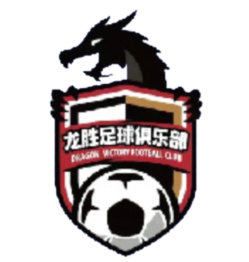 Nanjing Longsheng