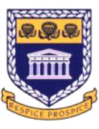 https://www.imageservera.com/cdn-cgi/image/format=webp/uploadedimages/202508/Aug13/y0or5jh3x3jqwzv.png