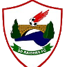 SD Raiders FC
