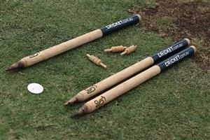 Watch cricket online (Getty Images)