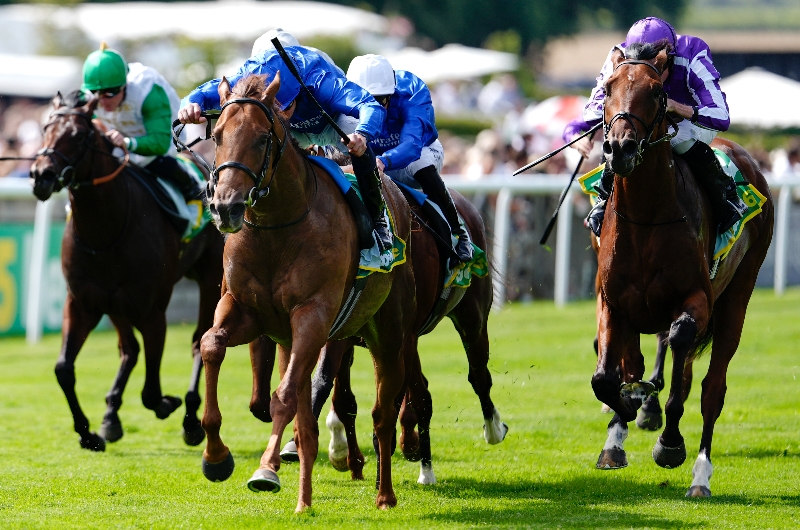 superlative stakes