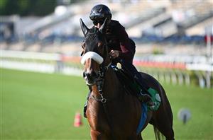 horse racing south africa