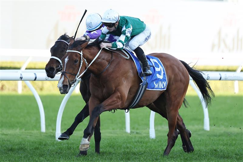 SYDNEY, AUSTRALIA - AUGUST 23: James McDonald riding  Via Sistina win Race 8 Winx Stakes during Sydney Racing at Royal Randwick Racecourse on August 23, 2025 in Sydney, Australia. (Photo by Jeremy Ng/Getty Images)