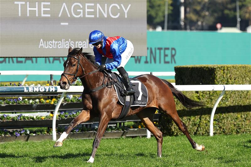 SYDNEY, AUSTRALIA - AUGUST 23: Alysha Collett riding Nellie Leylax to win Race 5 The Agency Real Estate Premier's Cup. (Getty)