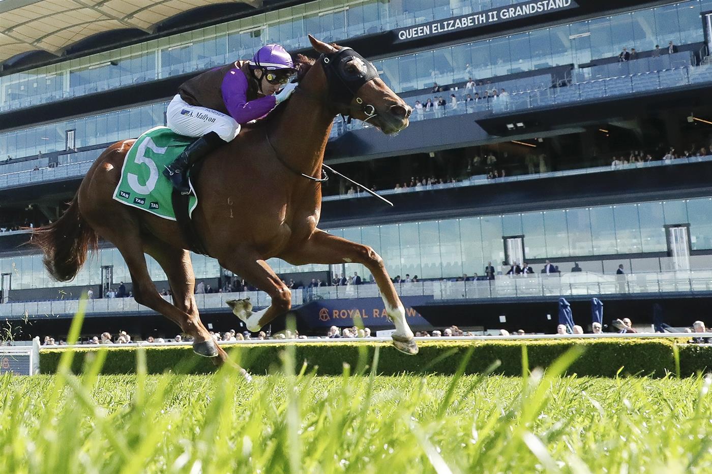 SYDNEY, AUSTRALIA - AUGUST 23:  Andrew Mallyon riding Neil win Race 2 TAB Highway Handicap during Sydney Racing at Royal Randwick Racecourse on August 23, 2025 in Sydney, Australia. (Photo by Jeremy Ng/Getty Images)
