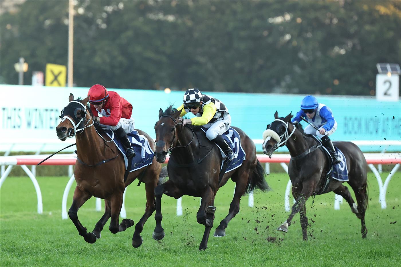SYDNEY, AUSTRALIA - AUGUST 23: Josh Parr  riding Glad You Think So win Race 10 Wilf and Rosemary Mula 50th Anniversary Mile during Sydney Racing at Royal Randwick Racecourse on August 23, 2025 in Sydney, Australia. (Photo by Jeremy Ng/Getty Images)